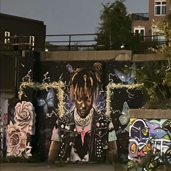 Meet your Posher, Peyton - Picture 1 of 1